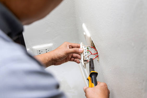 Best Electric Panel Repair  in Marfa, TX
